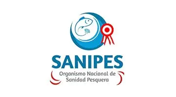 Cliente Navarrete Company